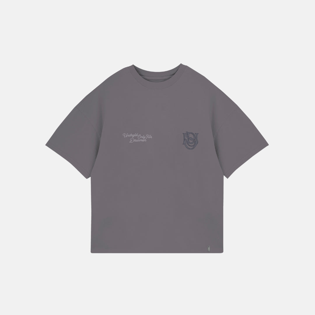BASICS ONLY FOR DREAMERS BOXY FIT T-SHIRT - GRAY