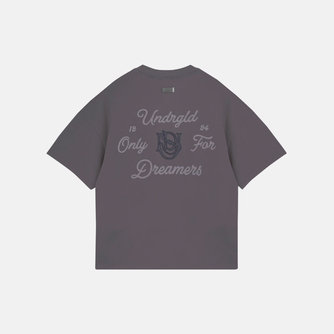 BASICS ONLY FOR DREAMERS BOXY FIT T-SHIRT - GRAY