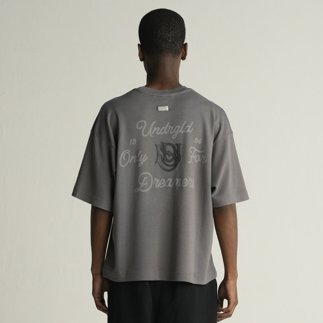 BASICS ONLY FOR DREAMERS BOXY FIT T-SHIRT - GRAY