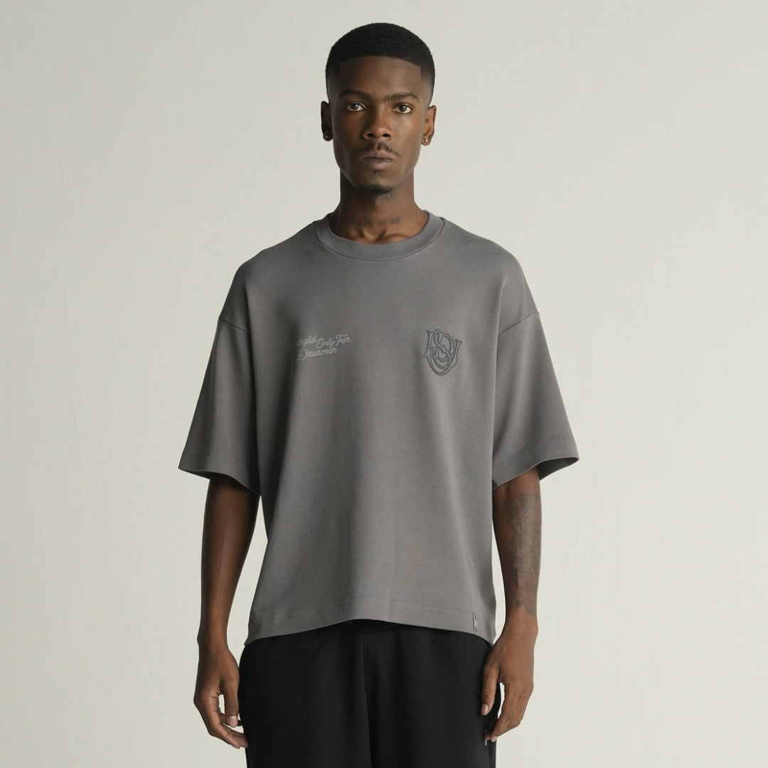 BASICS ONLY FOR DREAMERS BOXY FIT T-SHIRT - GRAY