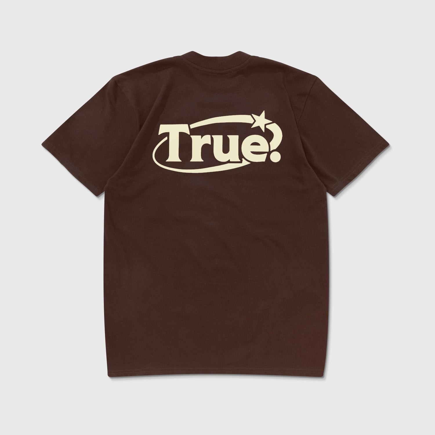 EVERYDAY LOGO T-SHIRT - BROWN